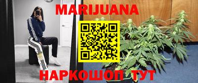 jwh Гатчина