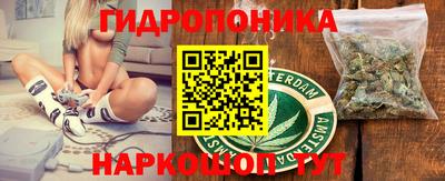 jwh Гатчина