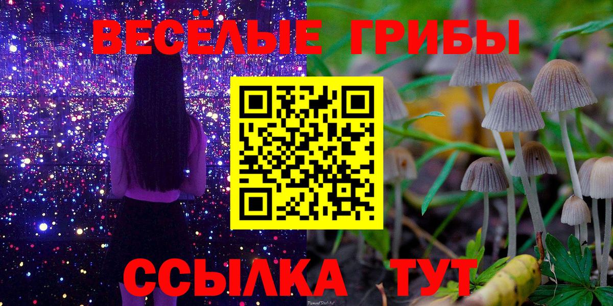 Галлюциногенные грибы Magic Shrooms Вичуга